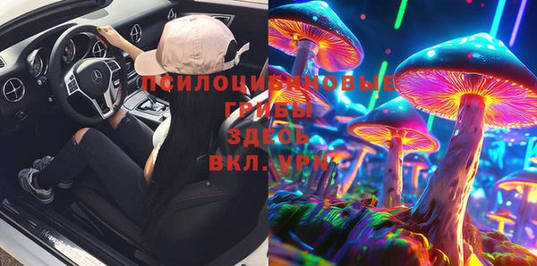 кокс Карпинск