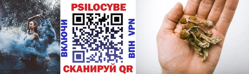 Купить закладки  Борзя  Псилоцибиновые грибы прущие грибы 
